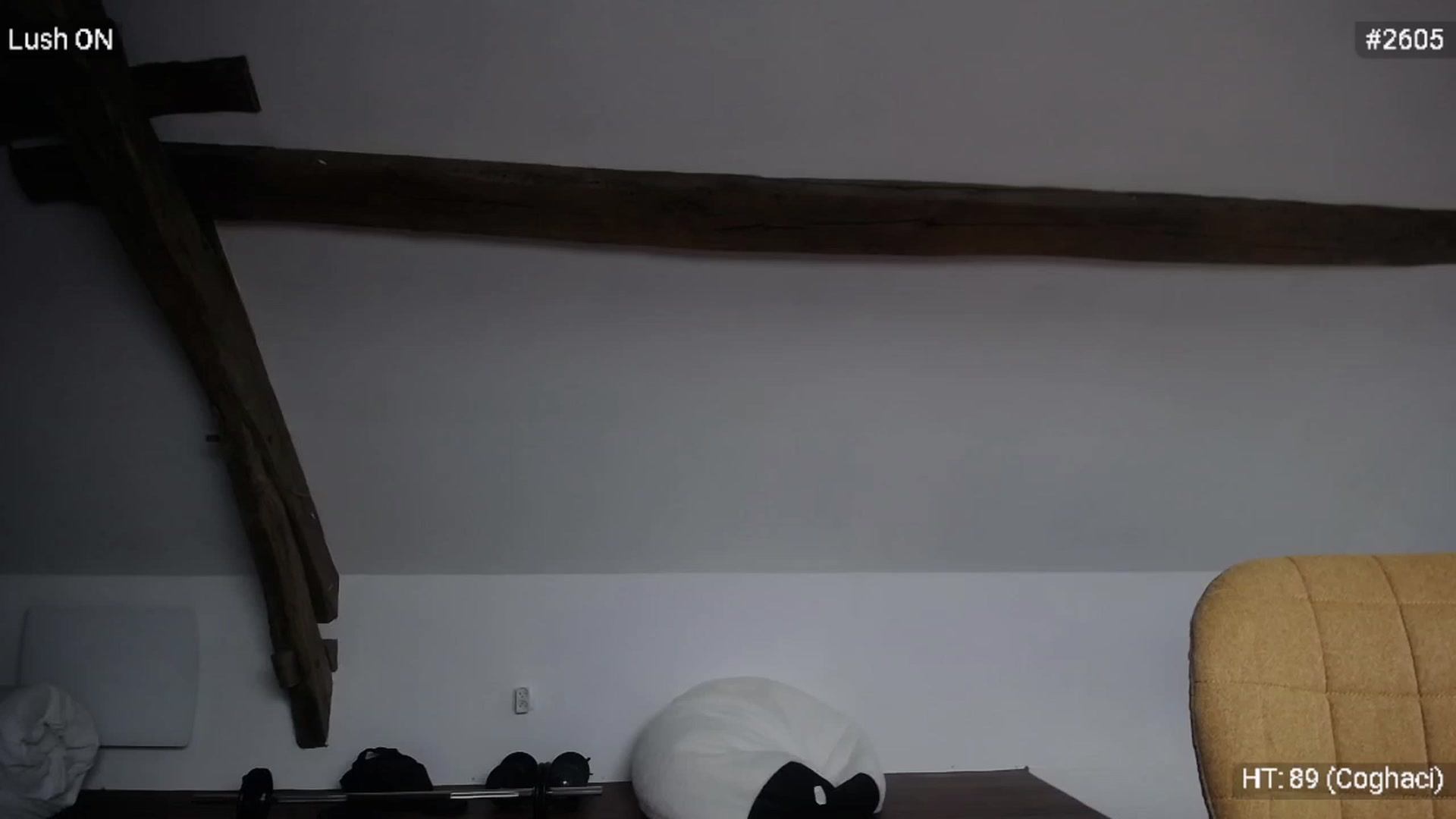 Gallery image thumbnail from Bootysaur's myfreecams stream on, 09/20/2023, 11:05 image 16 of 20