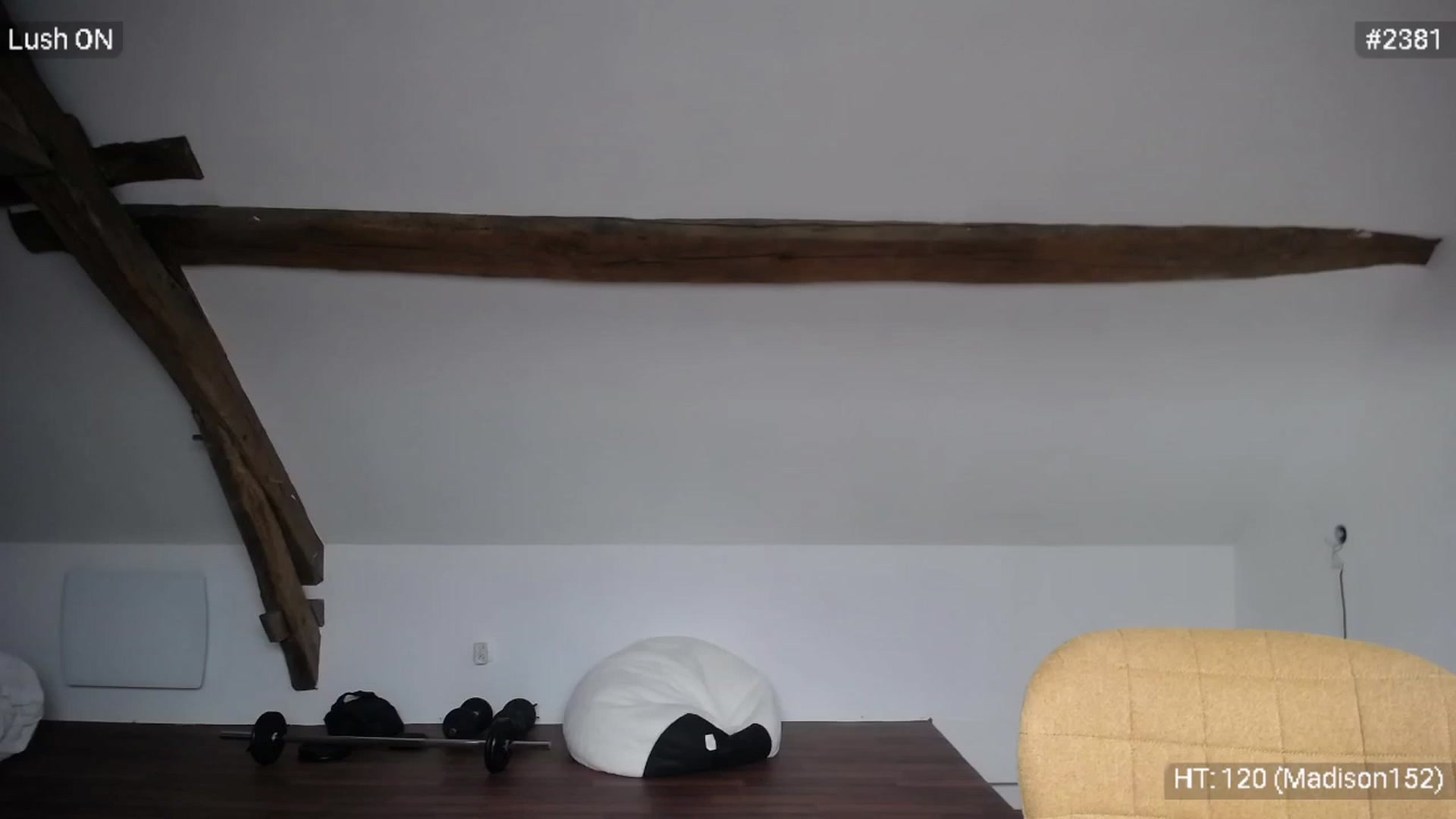 Gallery image thumbnail from Bootysaur's myfreecams stream on, 09/25/2023, 11:17 image 8 of 20