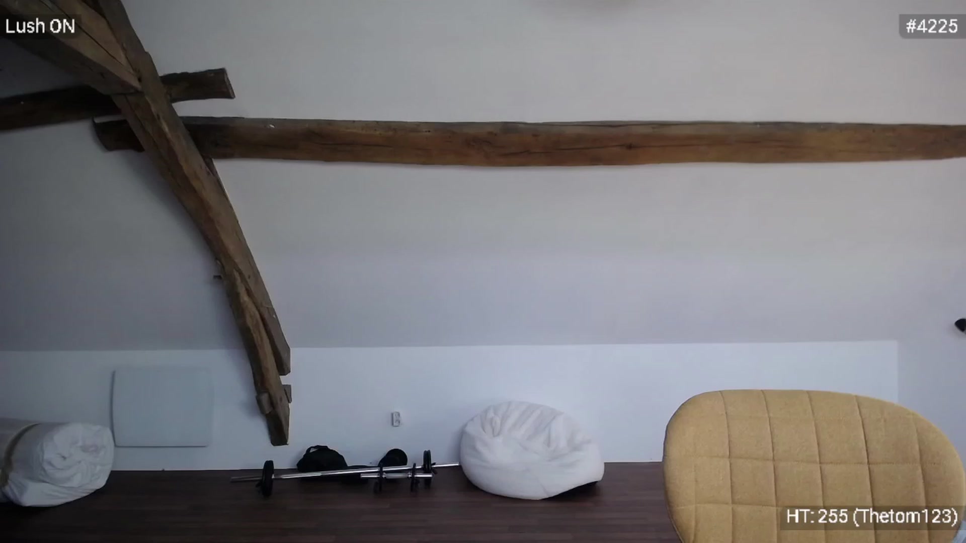 Gallery image thumbnail from Bootysaur's myfreecams stream on, 10/11/2023, 10:35 image 16 of 20