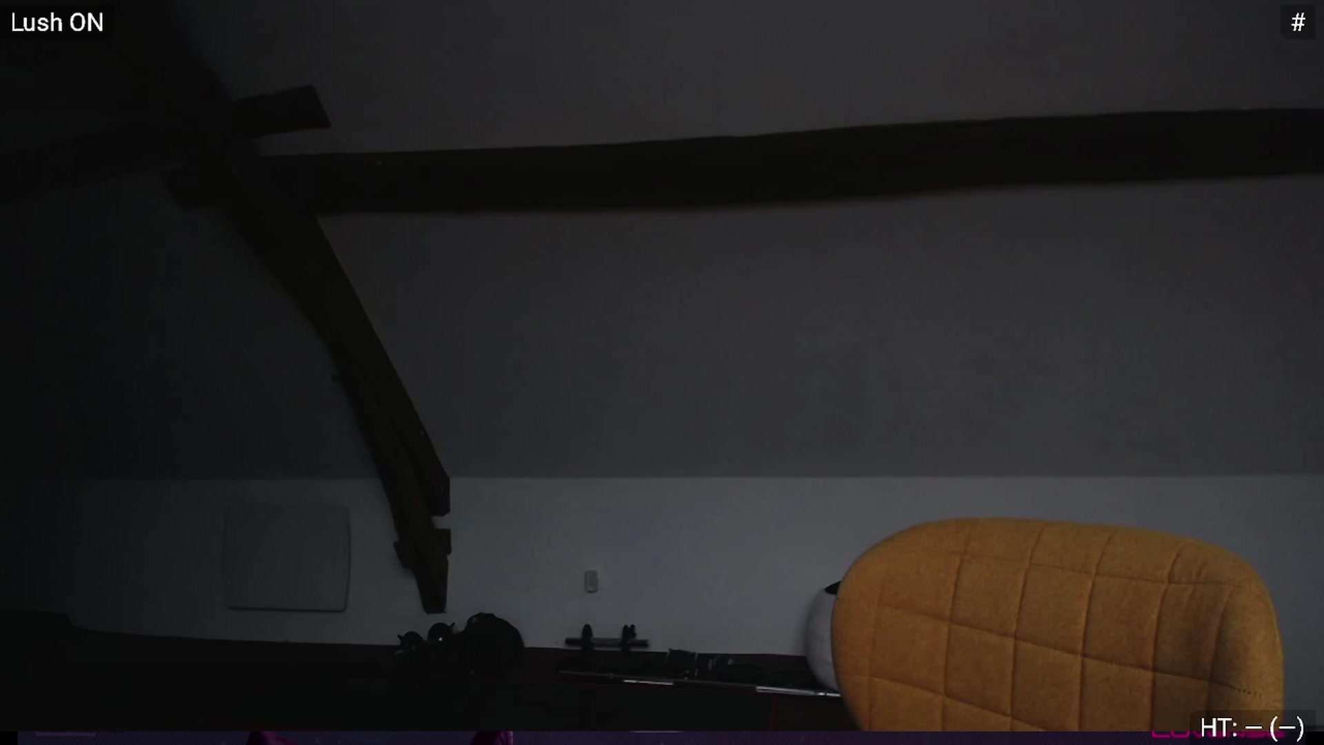 Gallery image thumbnail from Bootysaur's myfreecams stream on, 01/03/2024, 10:31 image 3 of 20