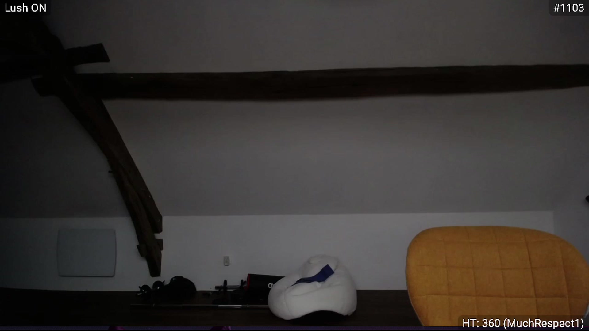 Gallery image thumbnail from Bootysaur's myfreecams stream on, 01/12/2024, 12:23 image 20 of 20