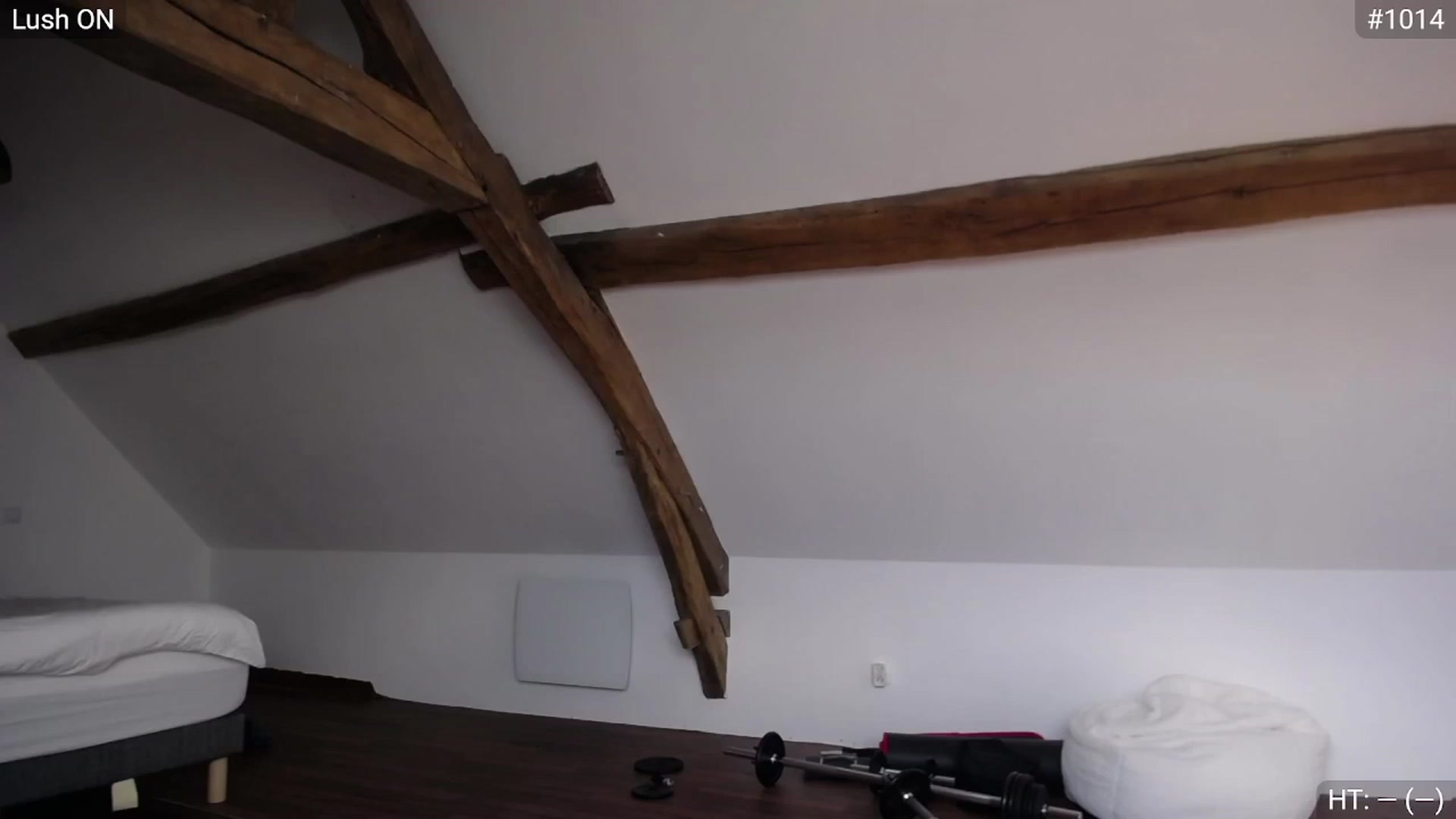 Gallery image thumbnail from Bootysaur's myfreecams stream on, 03/11/2024, 10:54 image 10 of 20