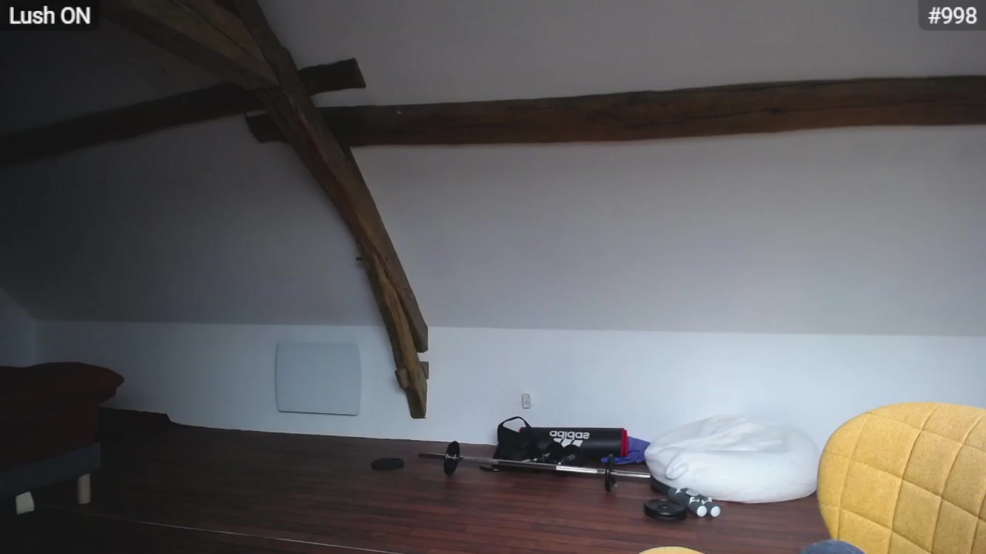 Gallery image thumbnail from Bootysaur's myfreecams stream on, 03/29/2024, 12:05 image 2 of 20