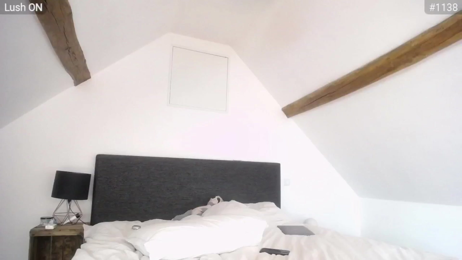 Gallery image thumbnail from Bootysaur's myfreecams stream on, 04/19/2024, 12:44 image 17 of 20