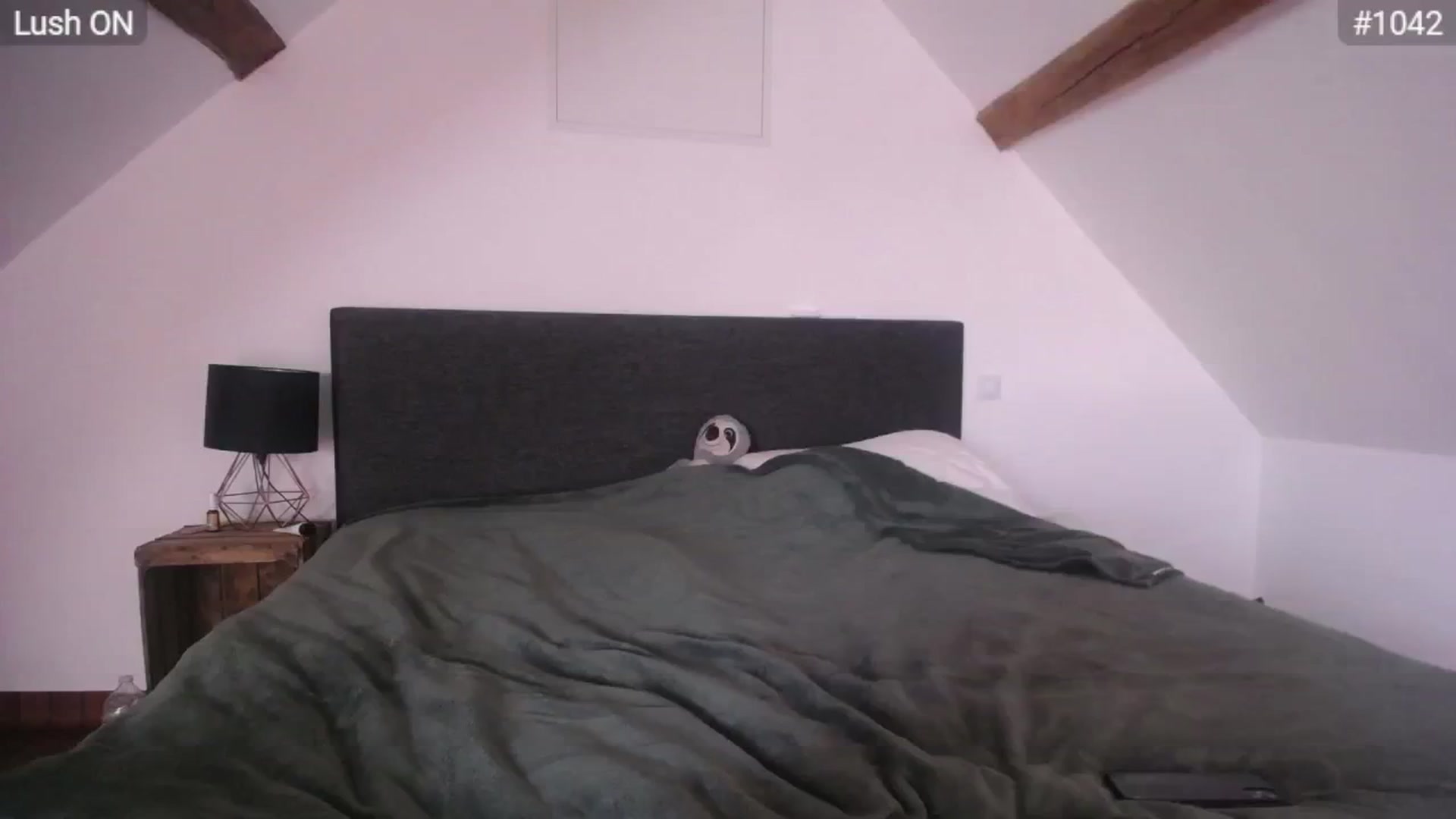 Gallery image thumbnail from Bootysaur's myfreecams stream on, 04/29/2024, 11:40 image 7 of 20
