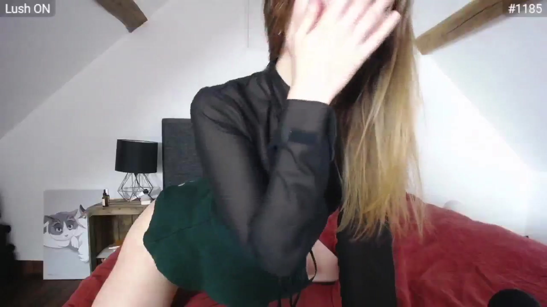 Gallery image thumbnail from Bootysaur's myfreecams stream on, 05/17/2024, 08:52 image 10 of 20