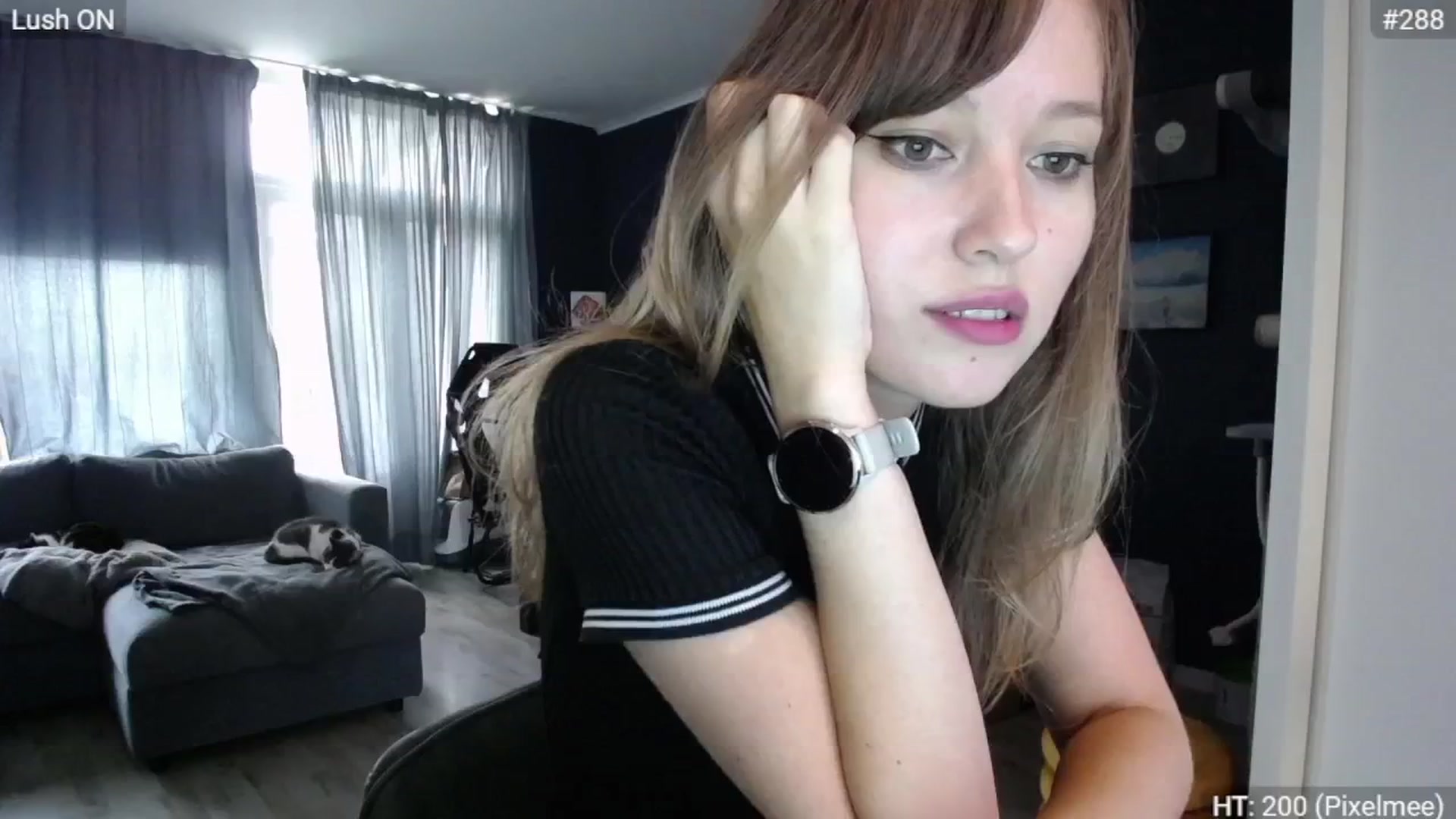 Gallery image thumbnail from Bootysaur's myfreecams stream on, 09/30/2024, 13:07 image 5 of 20