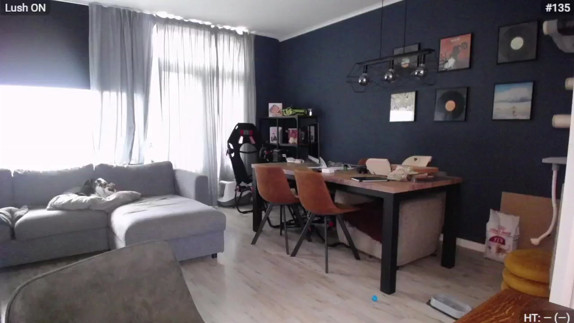 Gallery image thumbnail from Bootysaur's myfreecams stream on, 10/29/2024, 10:31 image 17 of 20