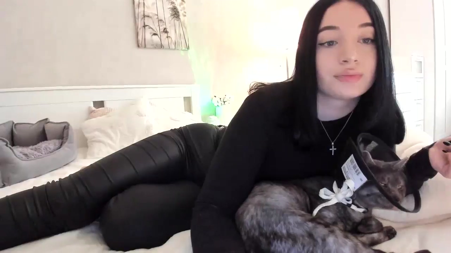 Gallery image thumbnail from BoredRoom's myfreecams stream on, 06/22/2024, 10:34 image 12 of 20