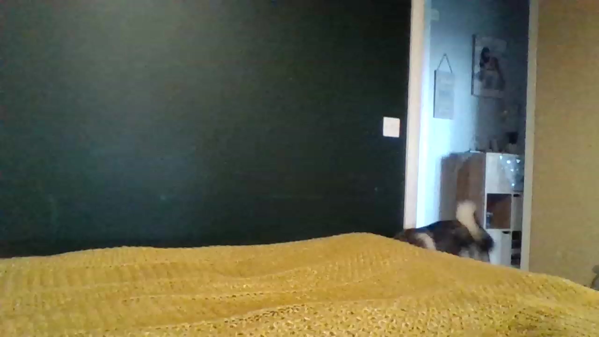 Gallery image thumbnail from Boredhotmama's myfreecams stream on, 11/25/2022, 14:19 image 13 of 20