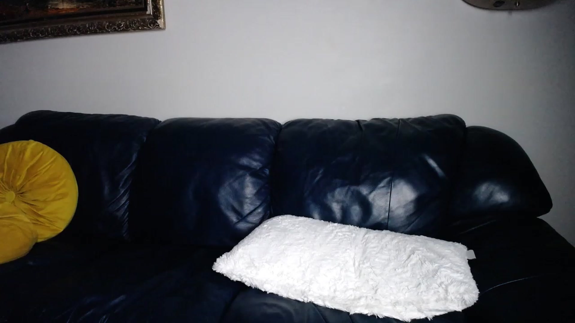 Gallery image thumbnail from BossBabyGirl's myfreecams stream on, 11/06/2023, 01:19 image 15 of 20