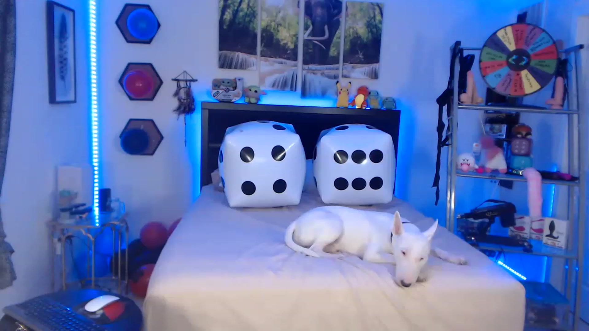 Gallery image thumbnail from BostonBeckyy's myfreecams stream on, 12/10/2022, 02:49 image 7 of 20