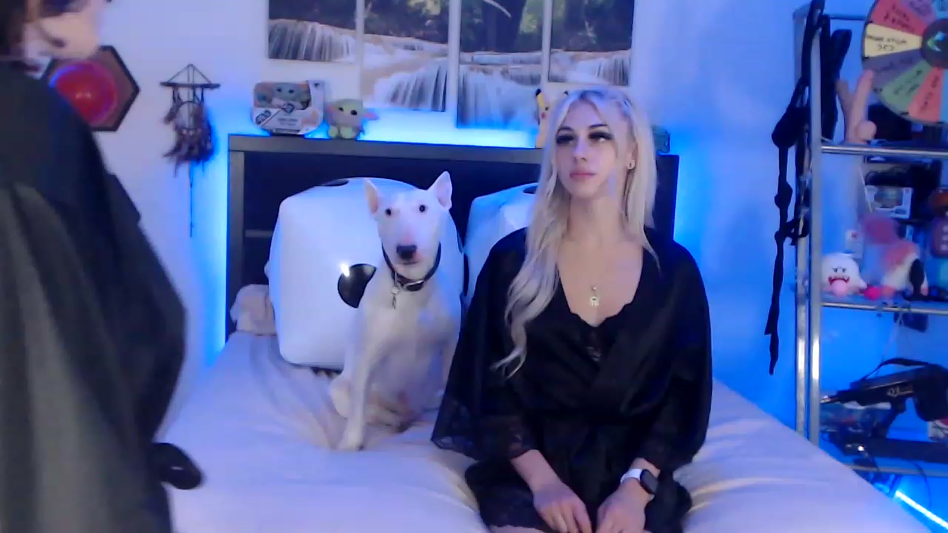 Gallery image thumbnail from BostonBeckyy's myfreecams stream on, 12/19/2022, 24:53 image 5 of 20