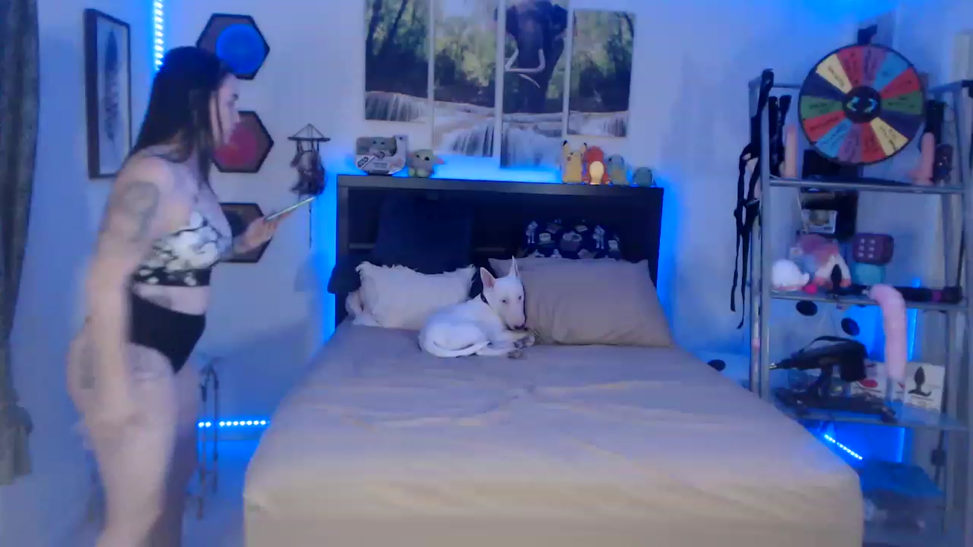 Gallery image thumbnail from BostonBeckyy's myfreecams stream on, 01/21/2023, 24:40 image 2 of 20