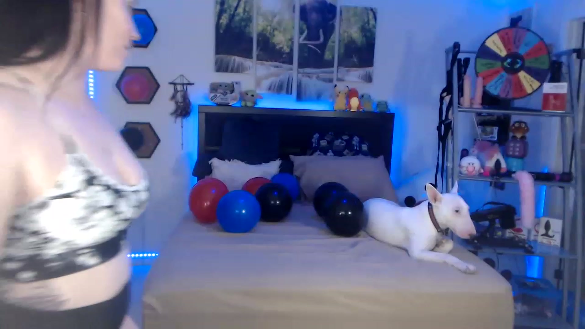 Gallery image thumbnail from BostonBeckyy's myfreecams stream on, 01/21/2023, 24:40 image 16 of 20