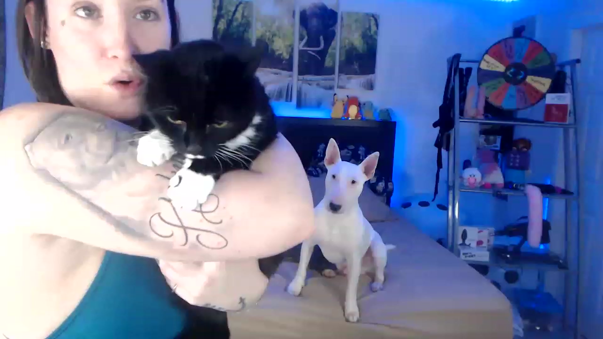 Gallery image thumbnail from BostonBeckyy's myfreecams stream on, 01/28/2023, 04:00 image 9 of 20