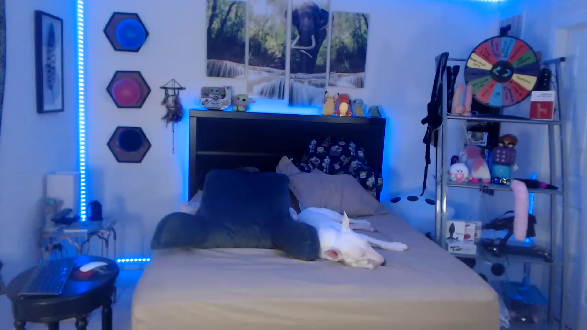 Gallery image thumbnail from BostonBeckyy's myfreecams stream on, 01/28/2023, 04:00 image 8 of 20