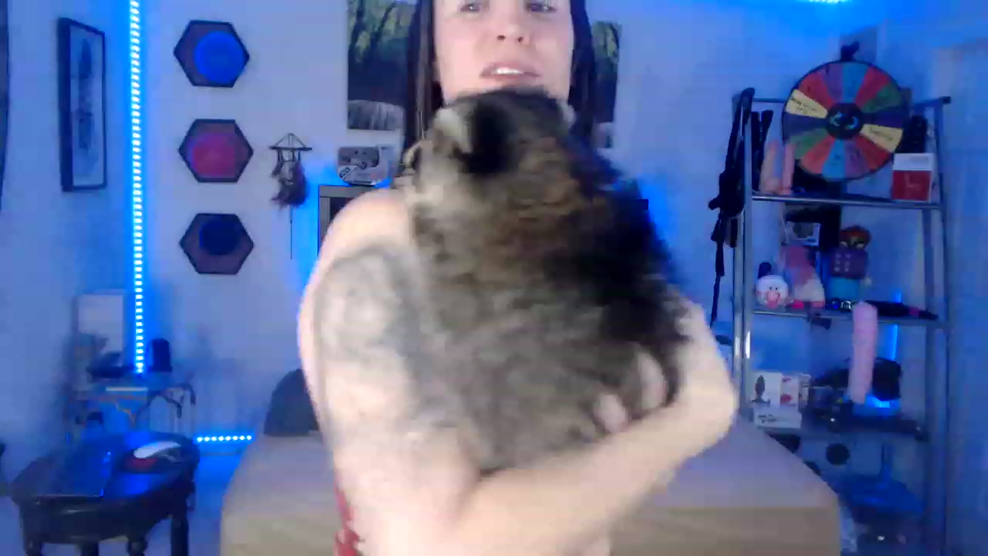 Gallery image thumbnail from BostonBeckyy's myfreecams stream on, 01/28/2023, 04:00 image 2 of 20