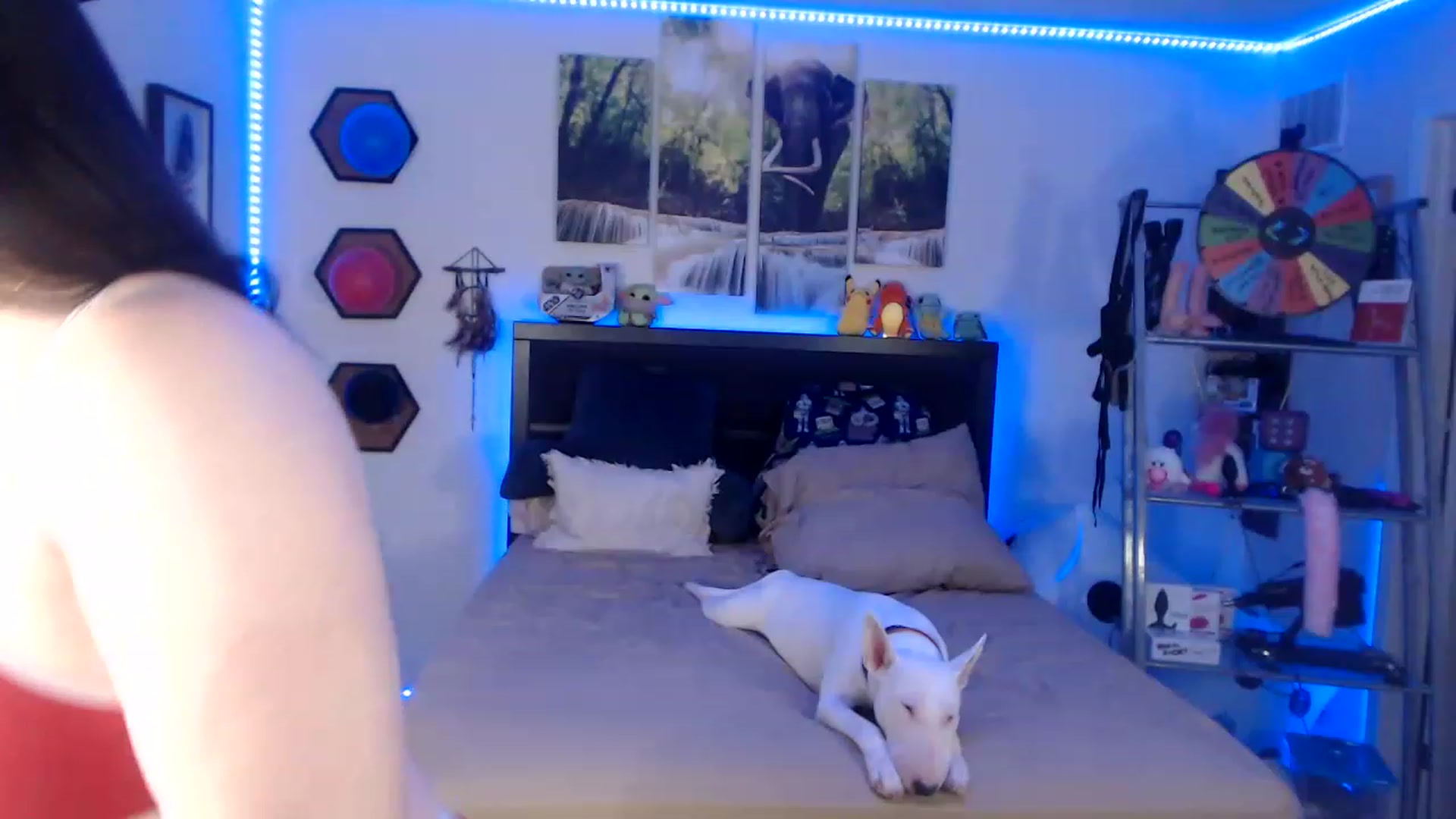 Gallery image thumbnail from BostonBeckyy's myfreecams stream on, 02/05/2023, 22:45 image 4 of 20