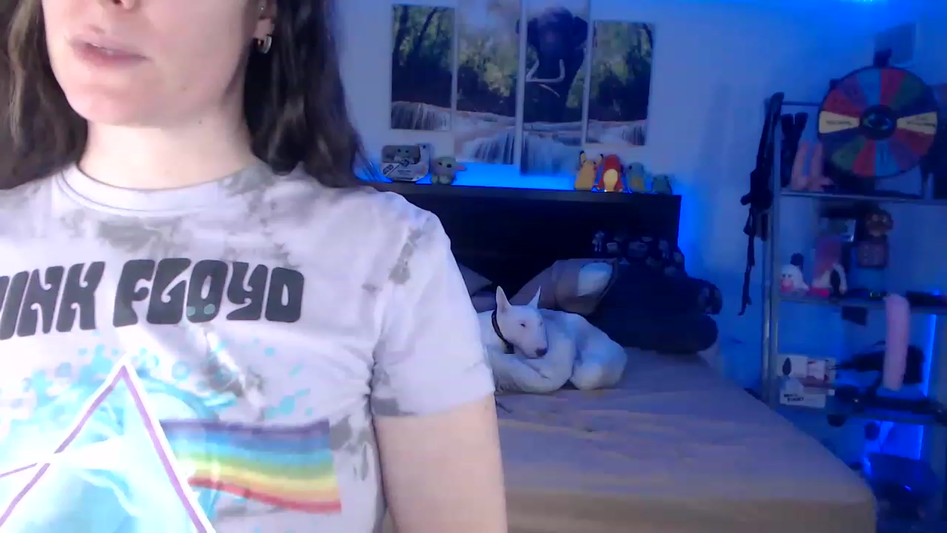 Gallery image thumbnail from BostonBeckyy's myfreecams stream on, 02/18/2023, 02:29 image 5 of 20