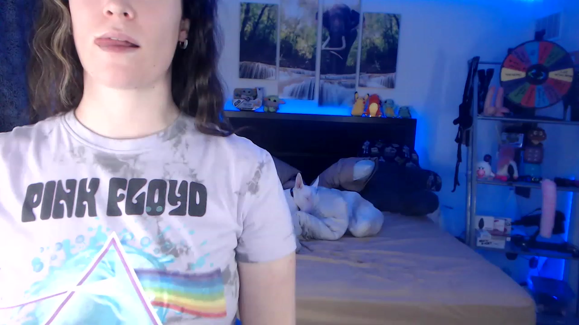 Gallery image thumbnail from BostonBeckyy's myfreecams stream on, 02/18/2023, 02:29 image 8 of 20