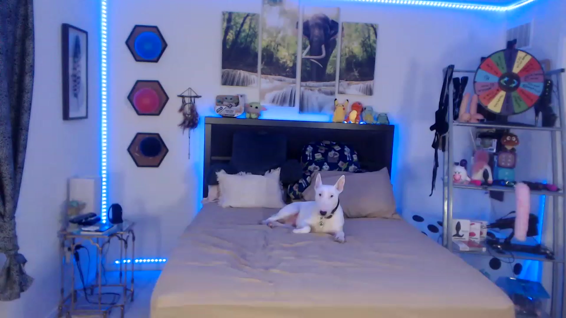 Gallery image thumbnail from BostonBeckyy's myfreecams stream on, 02/24/2023, 01:42 image 10 of 20