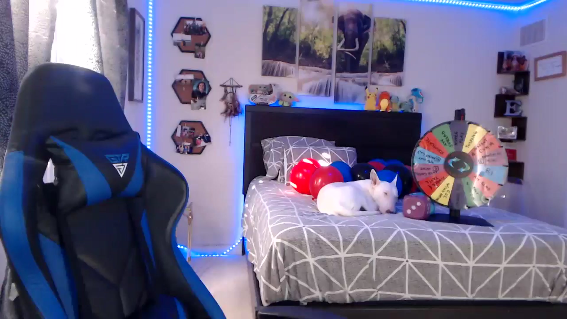 Gallery image thumbnail from BostonBeckyy's myfreecams stream on, 11/02/2025, 19:47 image 19 of 20