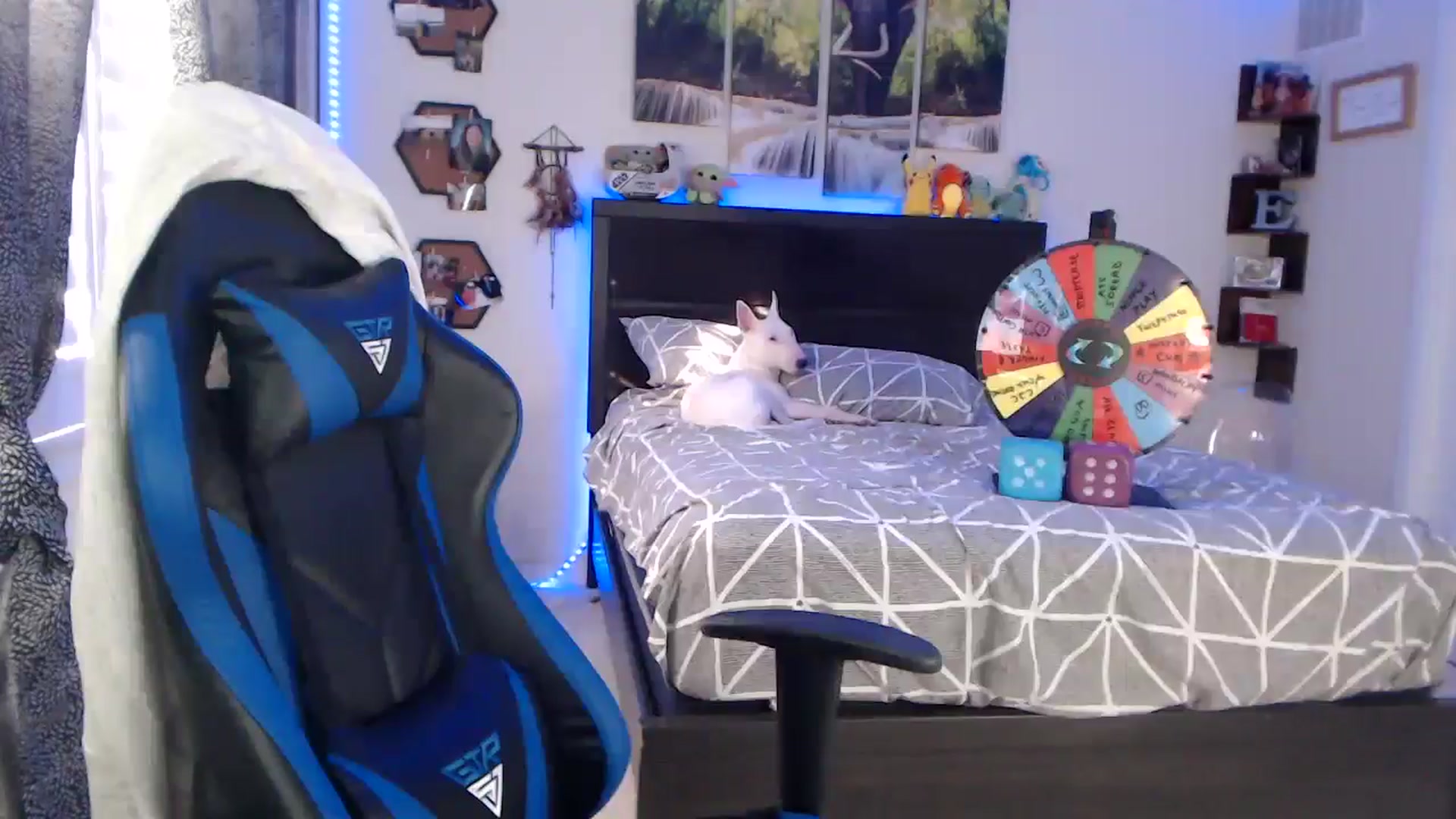 Gallery image thumbnail from BostonBeckyy's myfreecams stream on, 12/01/2025, 19:30 image 19 of 20