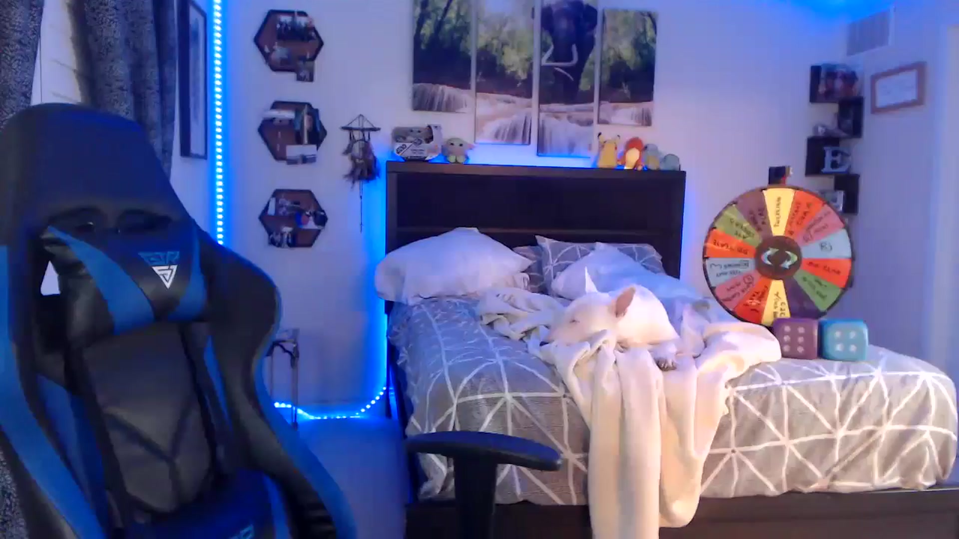 Gallery image thumbnail from BostonBeckyy's myfreecams stream on, 03/04/2026, 02:49 image 4 of 20