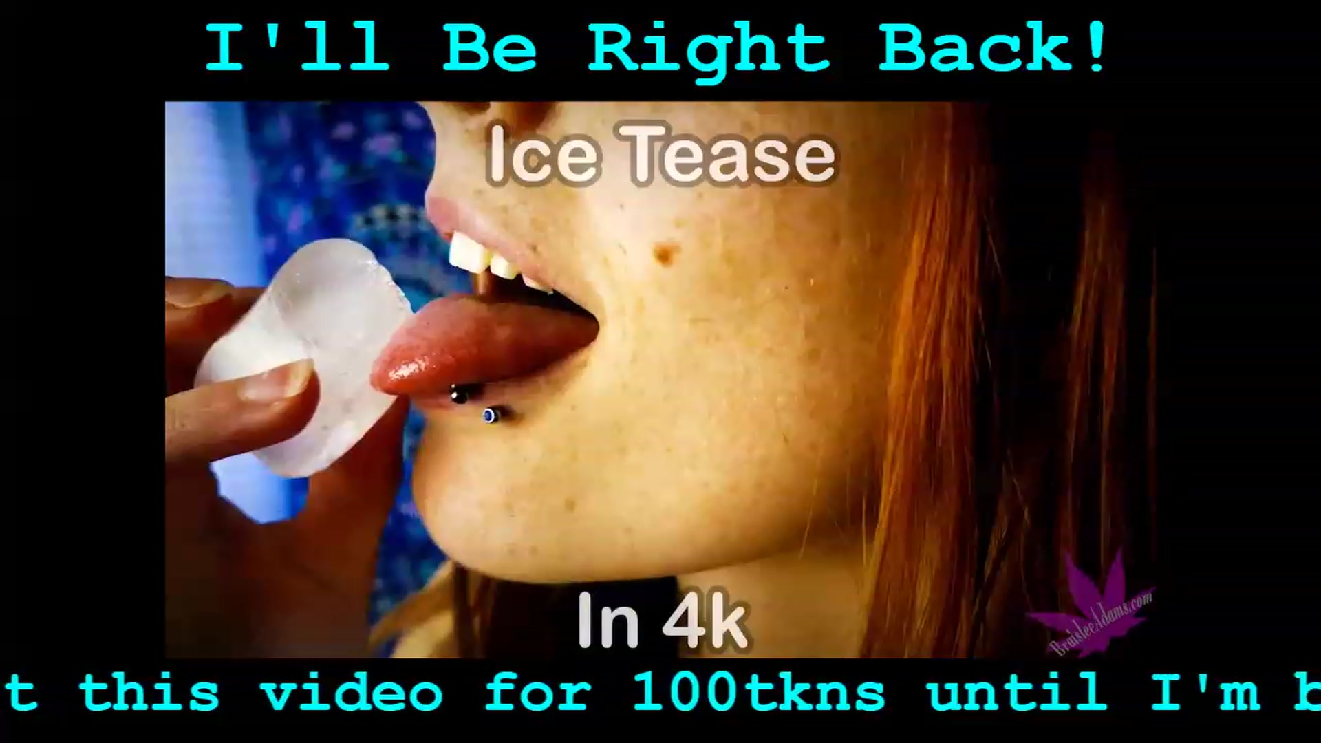 Gallery image thumbnail from BraisleeAdams's myfreecams stream on, 12/31/2022, 02:40 image 12 of 20