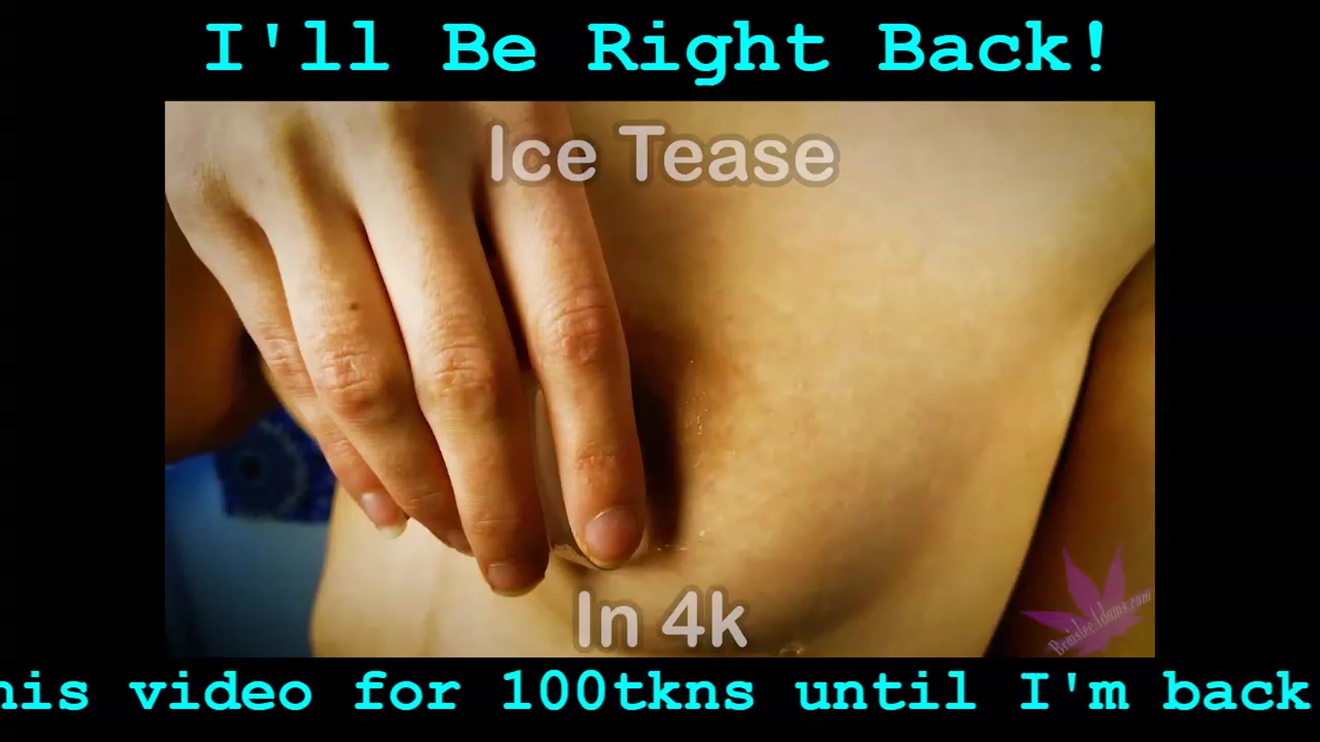 Gallery image thumbnail from BraisleeAdams's myfreecams stream on, 02/27/2023, 04:51 image 4 of 20