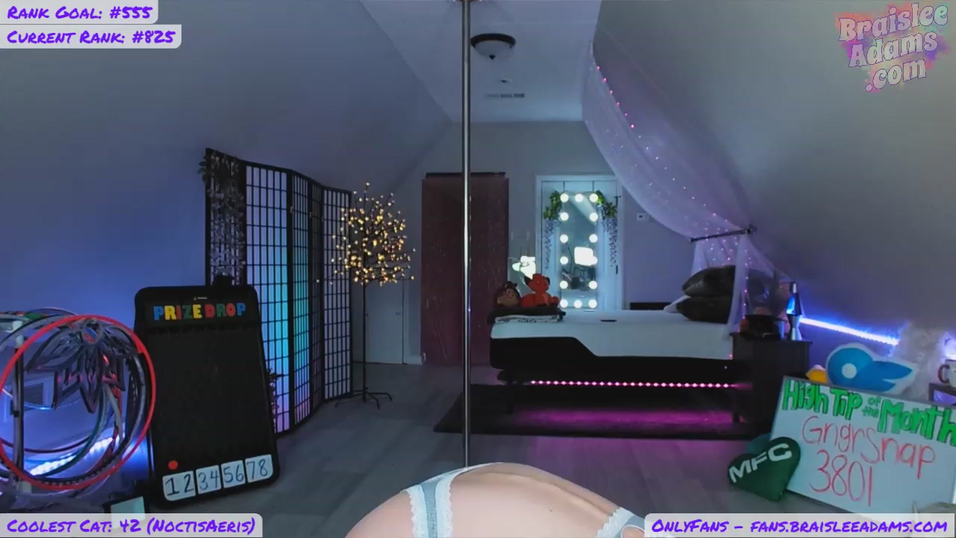 Gallery image thumbnail from BraisleeAdams's myfreecams stream on, 07/19/2023, 17:27 image 16 of 20