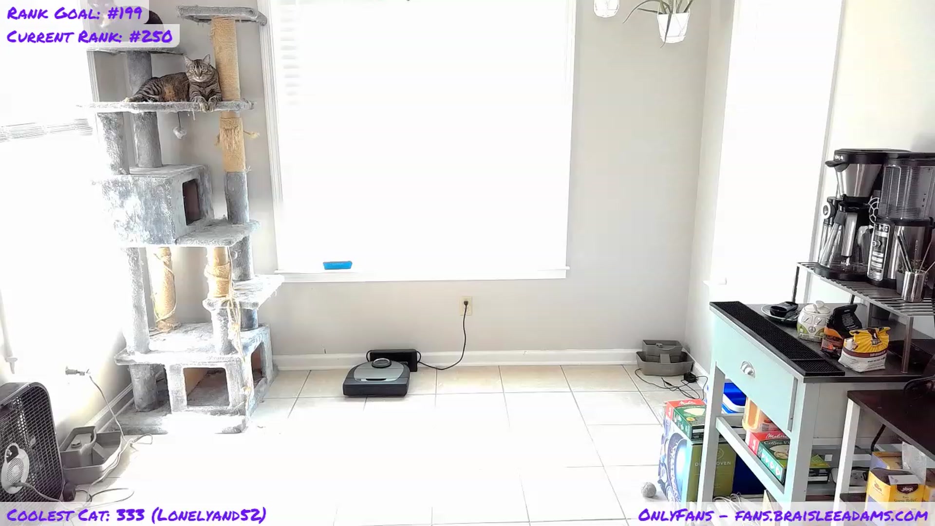 Gallery image thumbnail from BraisleeAdams's myfreecams stream on, 09/03/2023, 19:32 image 6 of 20