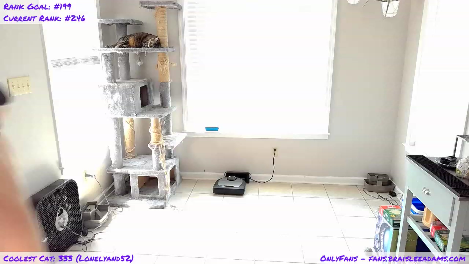 Gallery image thumbnail from BraisleeAdams's myfreecams stream on, 09/03/2023, 19:32 image 12 of 20