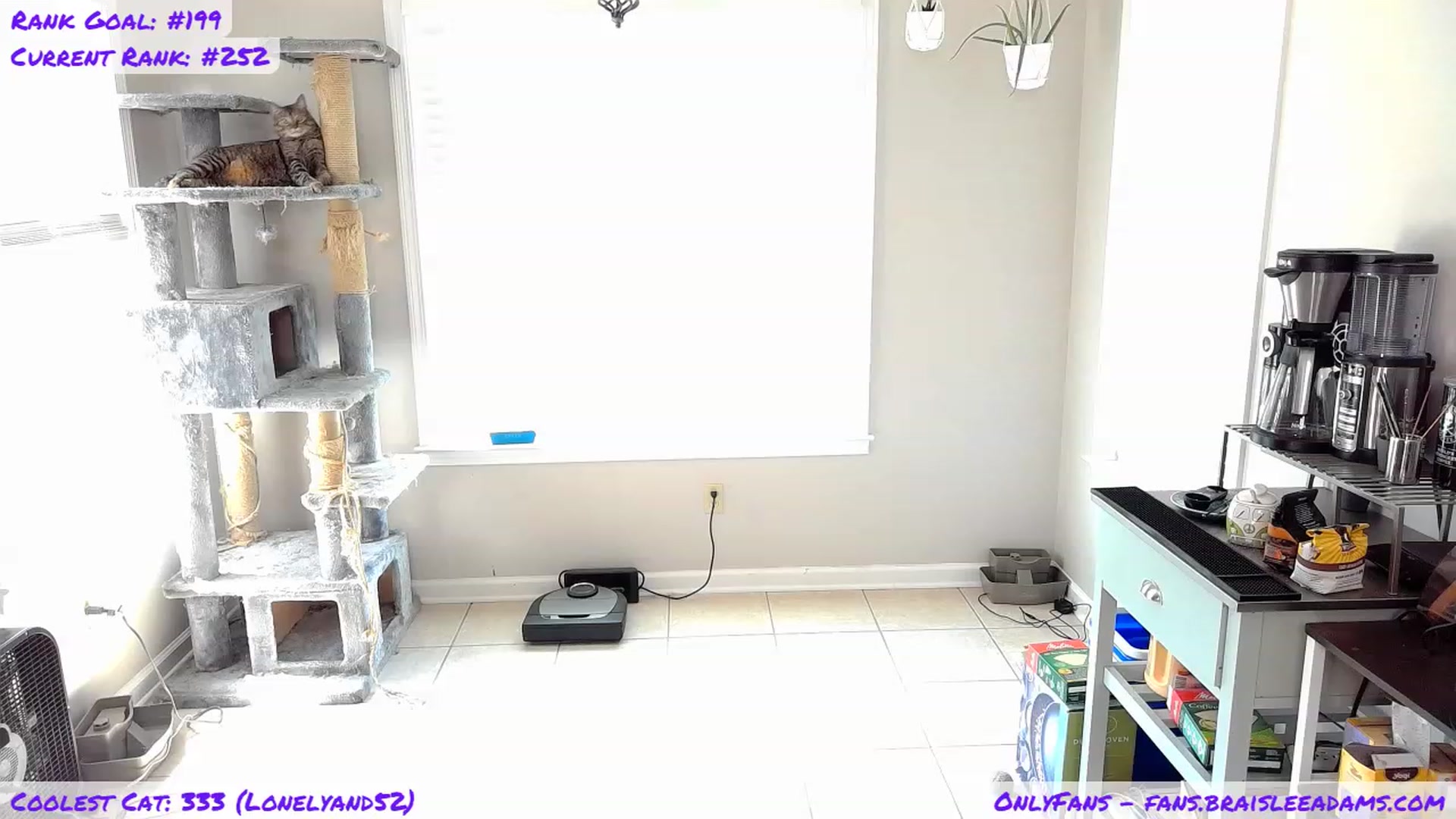 Gallery image thumbnail from BraisleeAdams's myfreecams stream on, 09/03/2023, 19:32 image 8 of 20