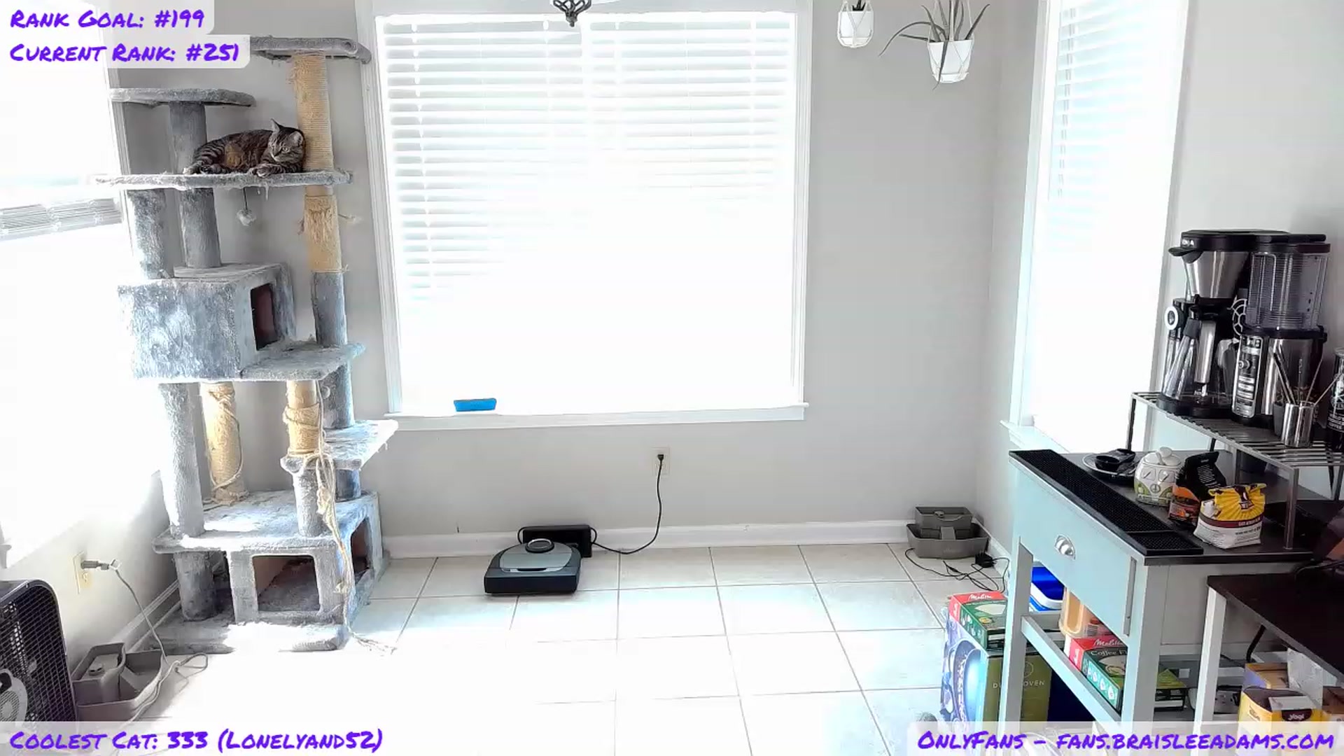Gallery image thumbnail from BraisleeAdams's myfreecams stream on, 09/03/2023, 19:32 image 7 of 20