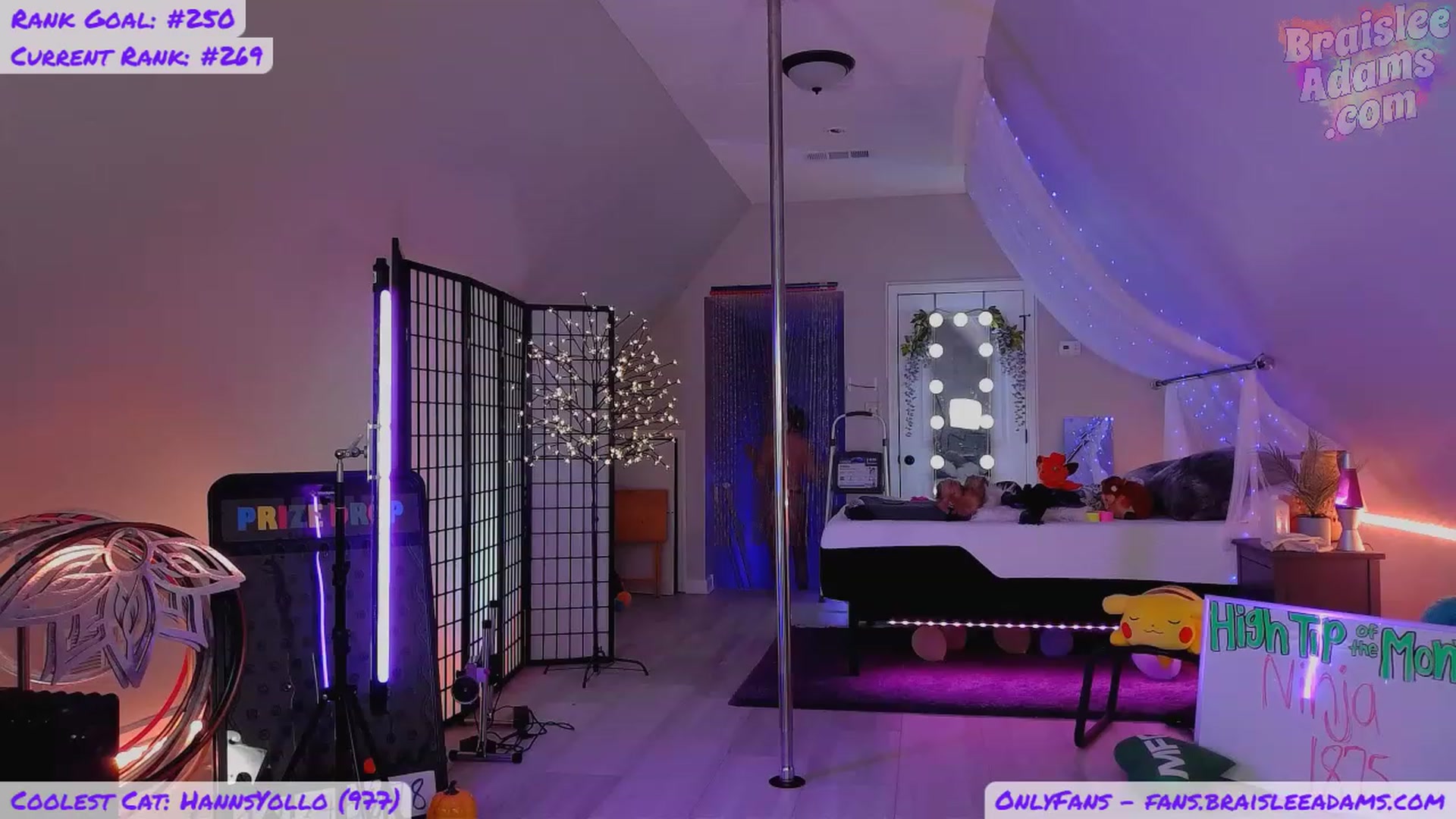 Gallery image thumbnail from BraisleeAdams's myfreecams stream on, 11/20/2023, 08:20 image 9 of 20
