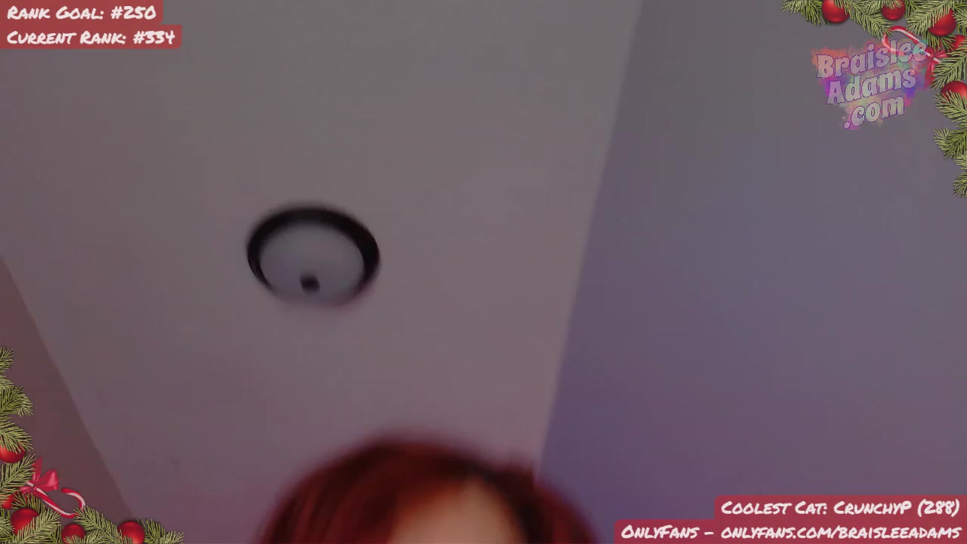Gallery image thumbnail from BraisleeAdams's myfreecams stream on, 11/29/2023, 06:51 image 12 of 20