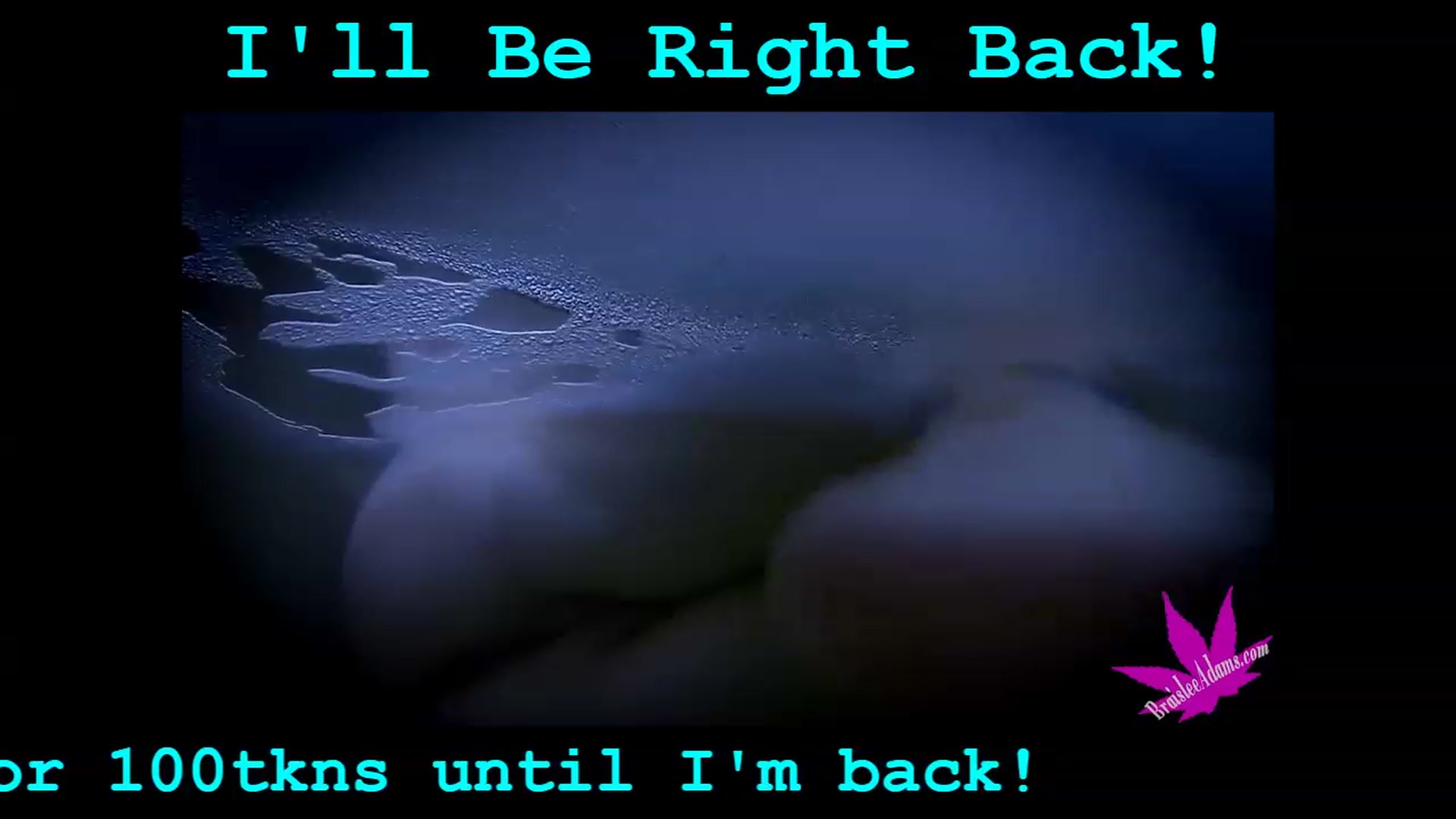 Gallery image thumbnail from BraisleeAdams's myfreecams stream on, 12/11/2023, 05:52 image 20 of 20