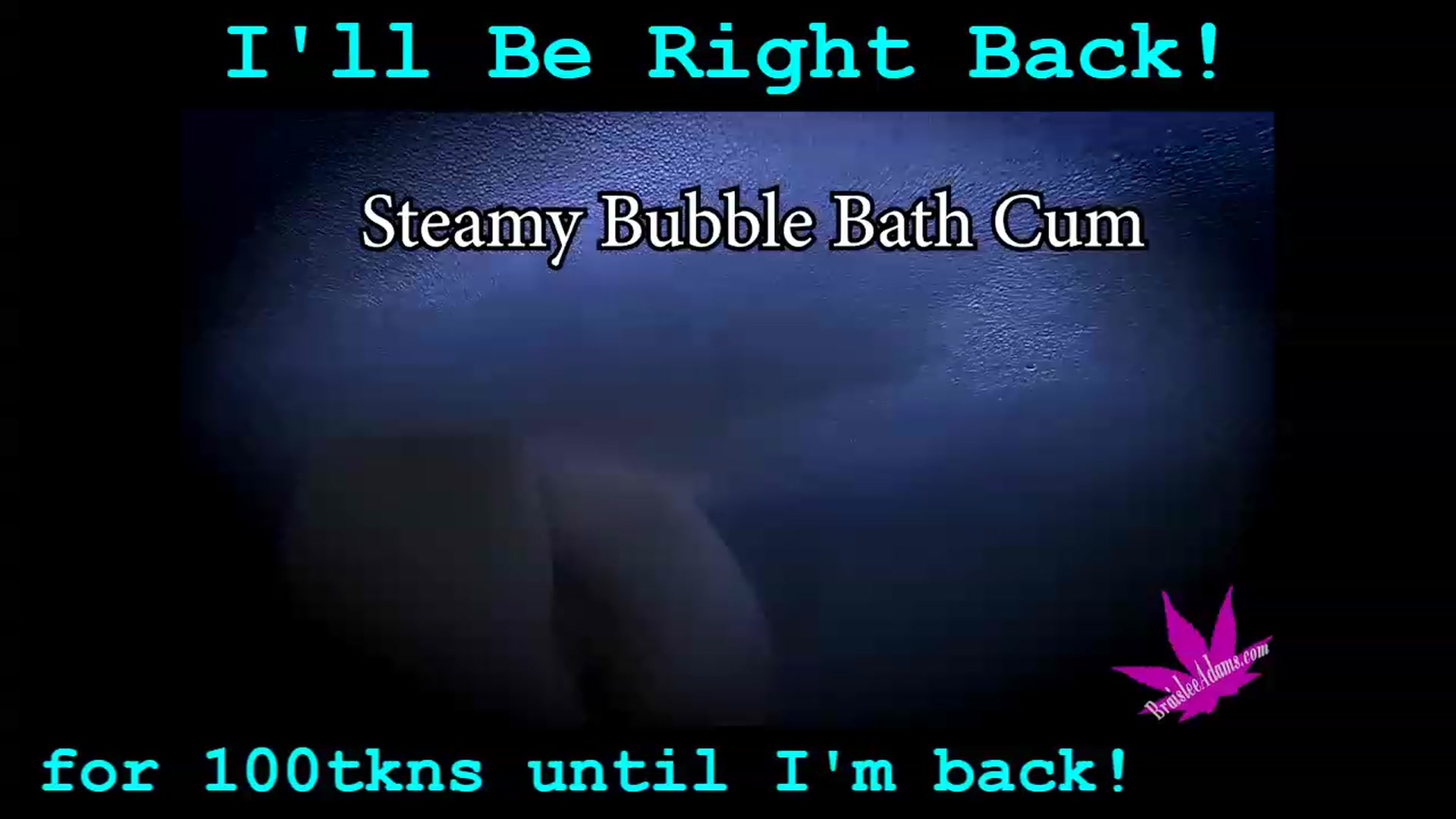 Gallery image thumbnail from BraisleeAdams's myfreecams stream on, 12/25/2023, 07:43 image 10 of 20