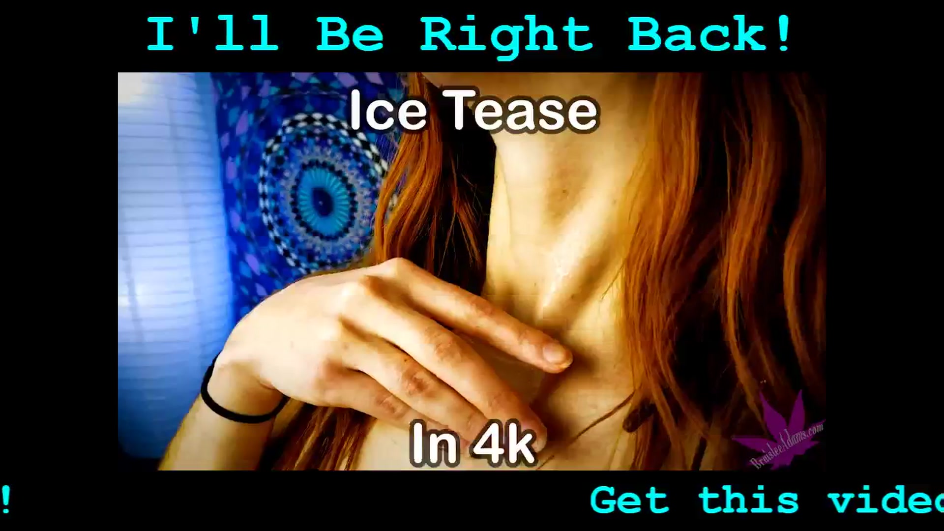 Gallery image thumbnail from BraisleeAdams's myfreecams stream on, 10/14/2024, 24:02 image 5 of 20