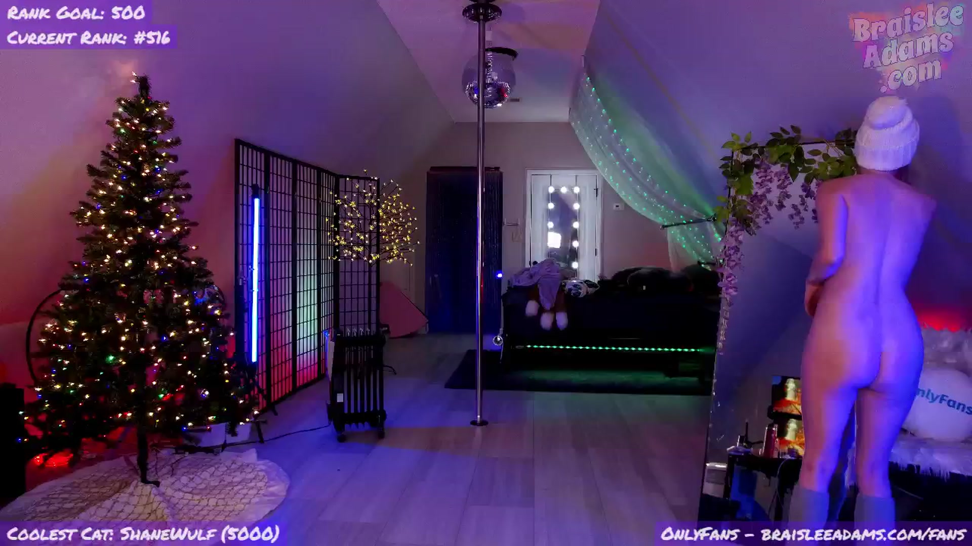 Gallery image thumbnail from BraisleeAdams's myfreecams stream on, 11/29/2024, 06:40 image 17 of 20