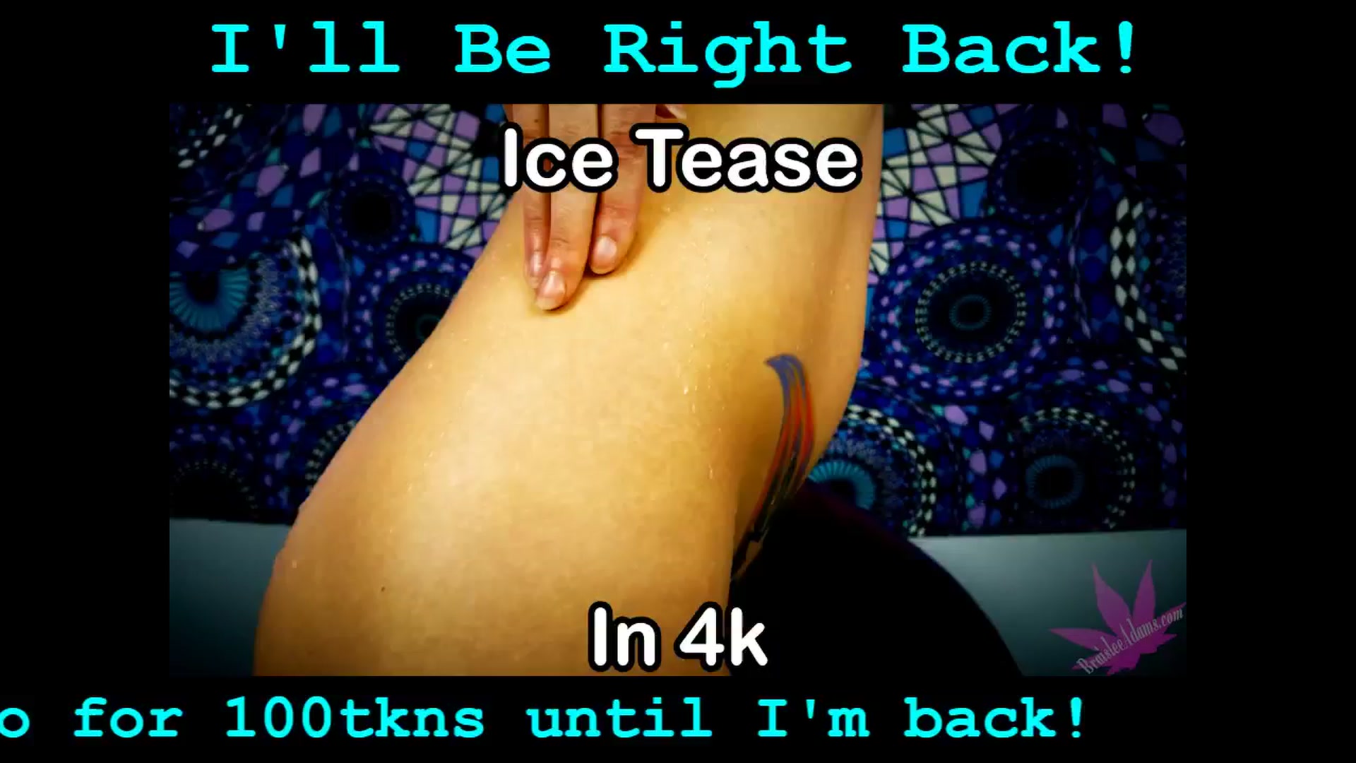 Gallery image thumbnail from BraisleeAdams's myfreecams stream on, 06/30/2025, 24:46 image 17 of 20