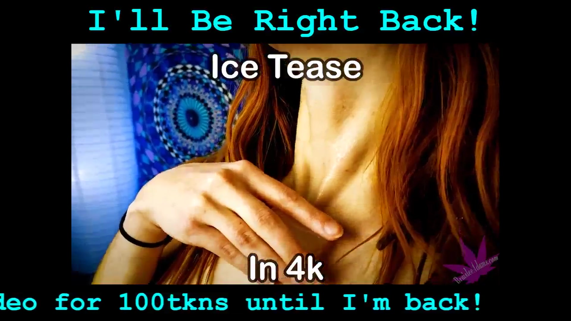 Gallery image thumbnail from BraisleeAdams's myfreecams stream on, 11/05/2025, 05:43 image 11 of 20