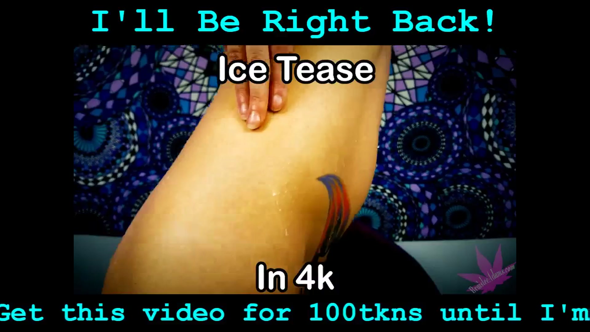 Gallery image thumbnail from BraisleeAdams's myfreecams stream on, 11/15/2025, 23:50 image 6 of 20