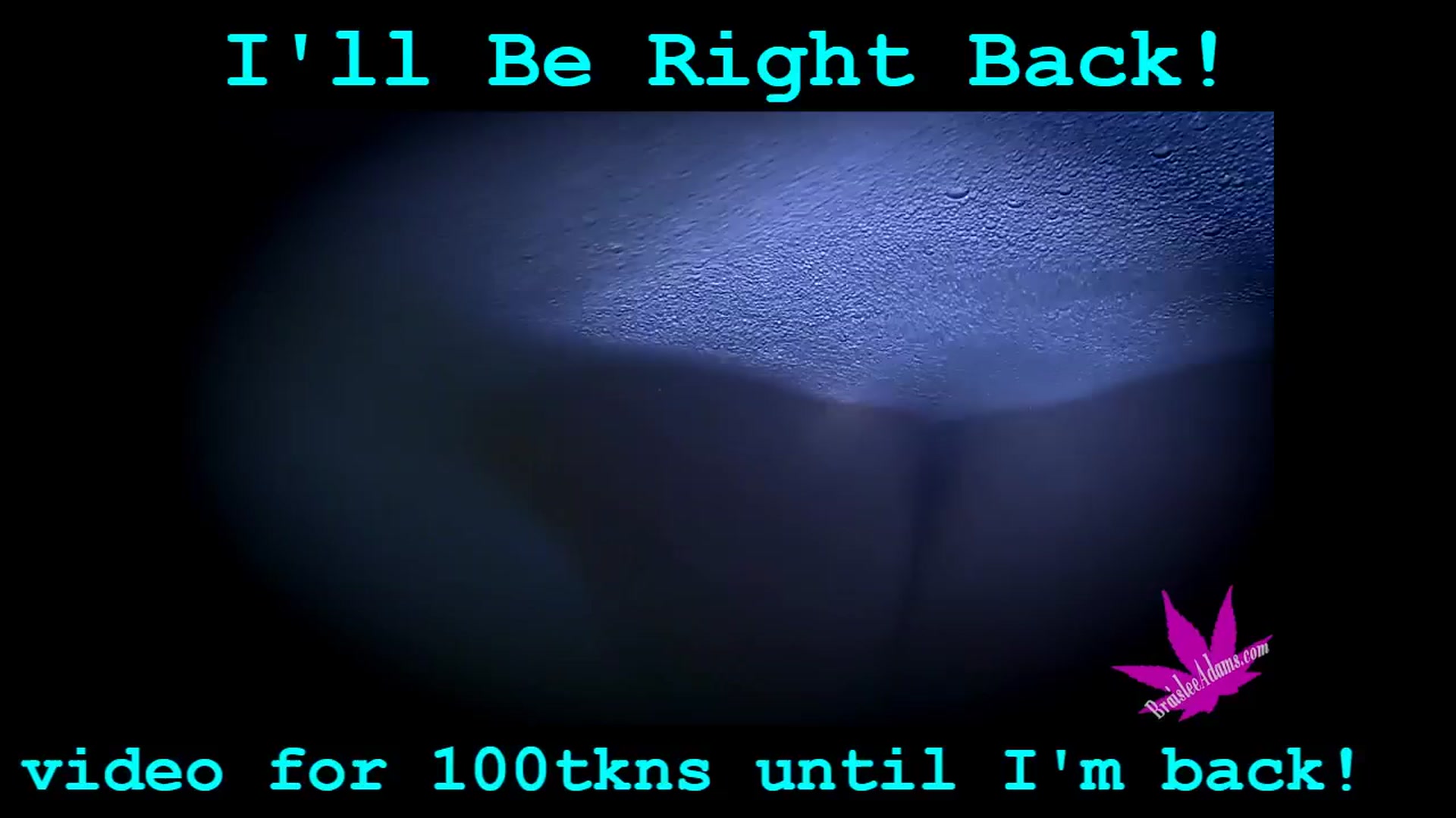 Gallery image thumbnail from BraisleeAdams's myfreecams stream on, 04/29/2026, 02:55 image 1 of 20