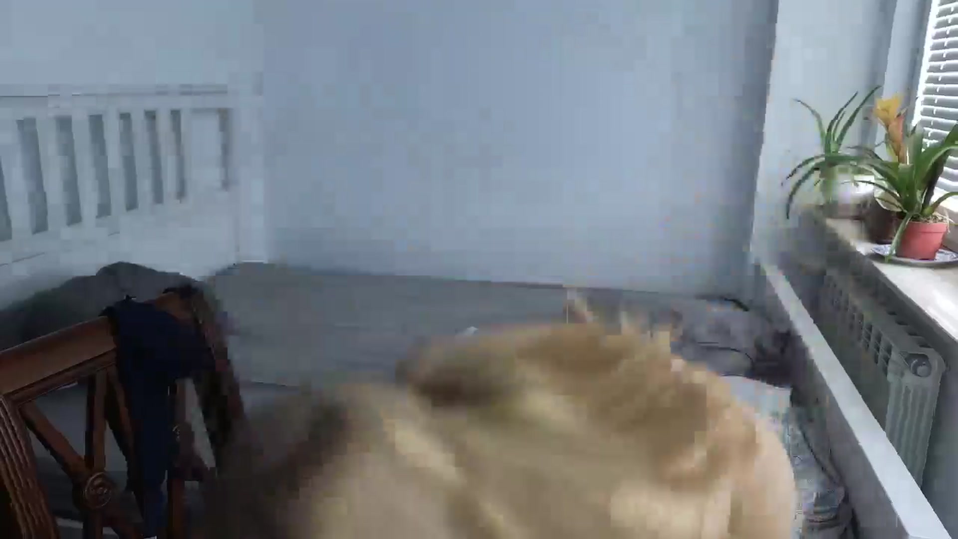 Gallery image thumbnail from BrandyHelga's myfreecams stream on, 06/11/2025, 12:33 image 18 of 20