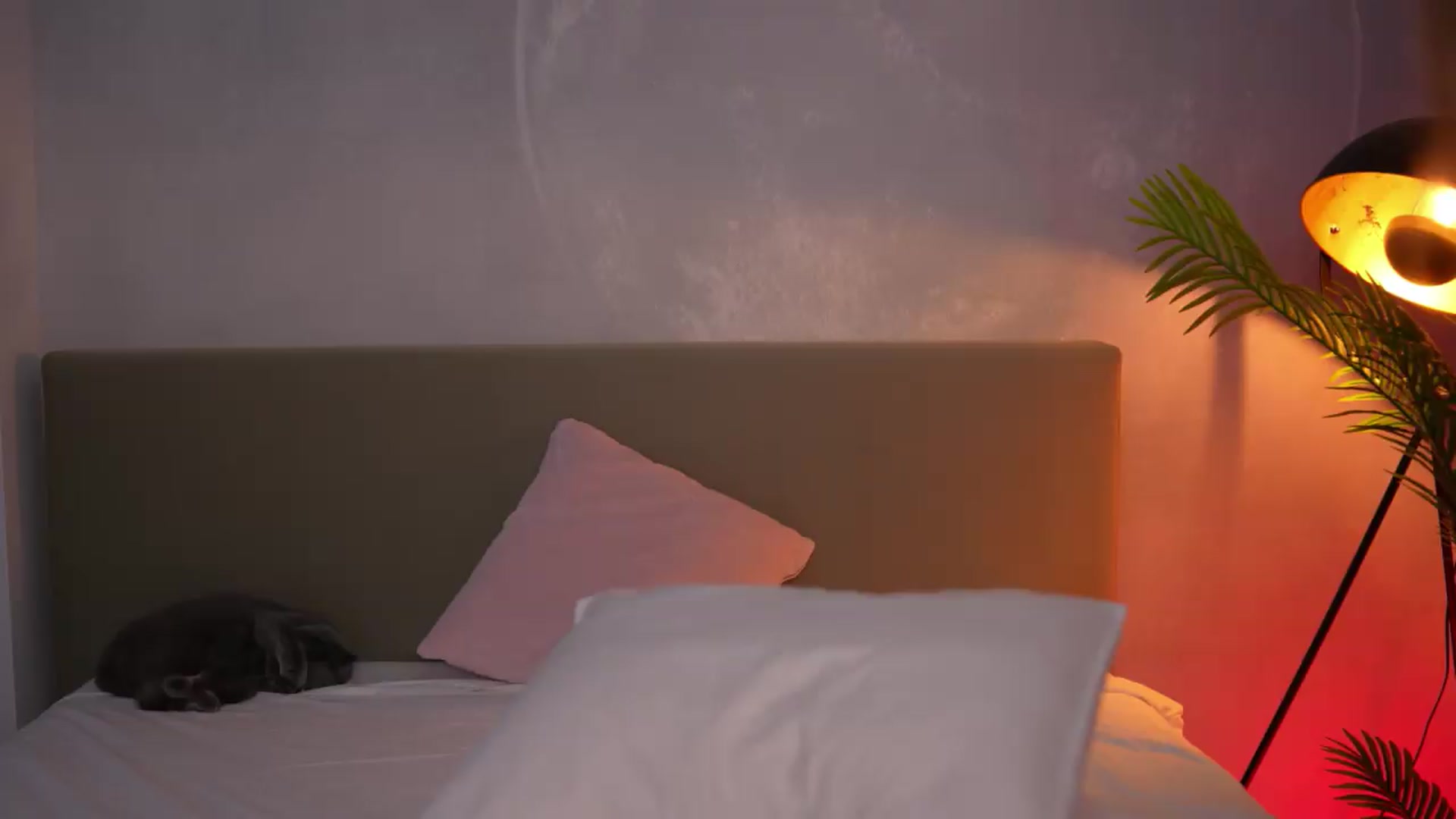 Gallery image thumbnail from BrandyWhite's myfreecams stream on, 08/30/2026, 09:39 image 8 of 20