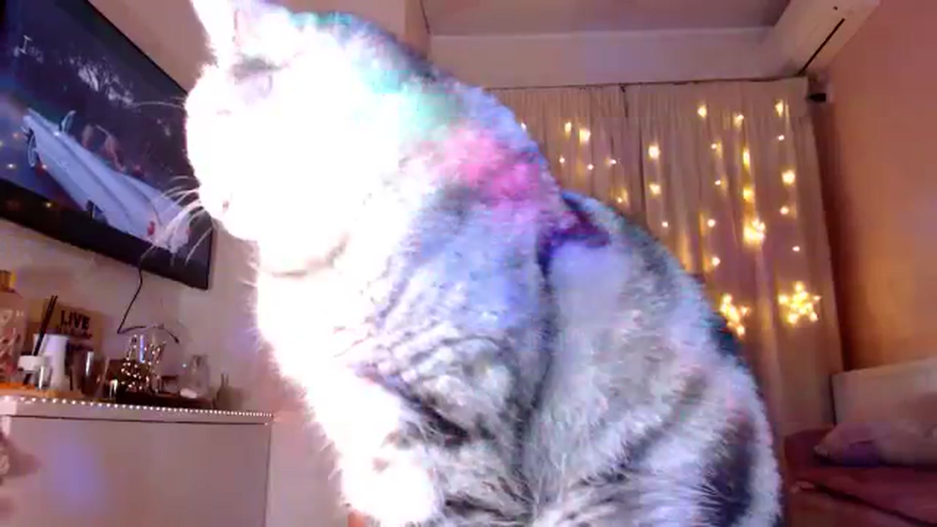 Gallery image thumbnail from Bratty_Dya's myfreecams stream on, 07/10/2025, 21:06 image 20 of 20