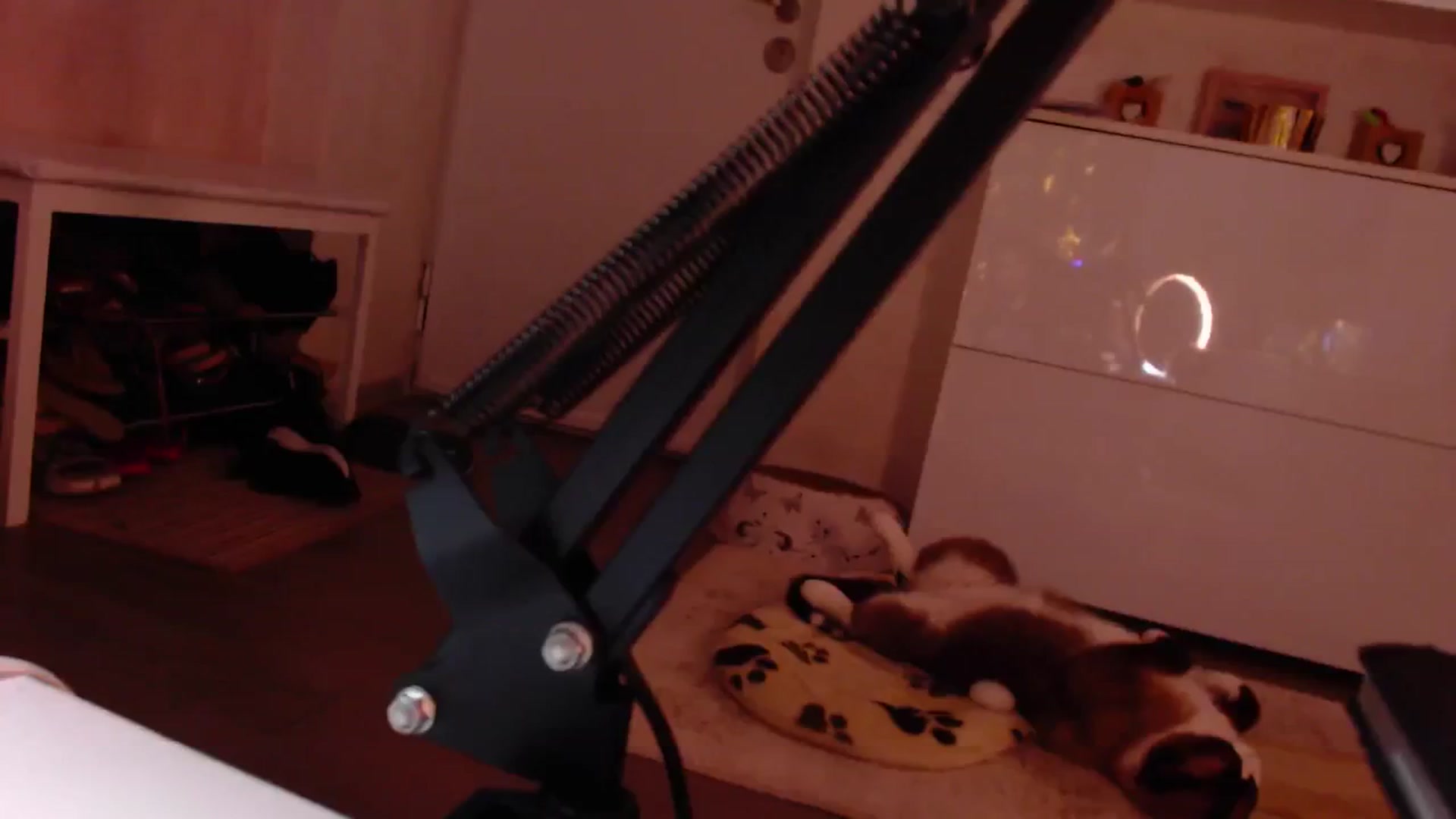 Gallery image thumbnail from Bratty_Dya's myfreecams stream on, 09/15/2025, 23:03 image 19 of 20
